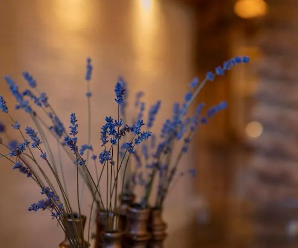 Villa K07 Allerheiligen bei Wildon